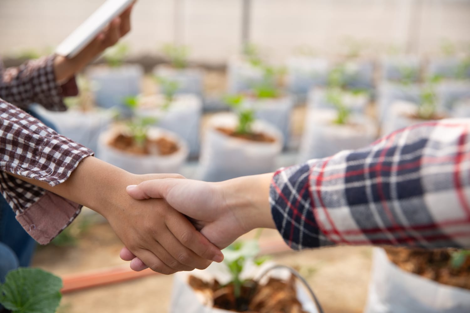 Why the Best Agricultural Hires Arent Always a Perfect Match on Paper